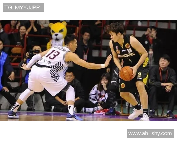 球星数据纵横谱,征服赛场风云势 球星数据纵横谱,征服赛场风云势