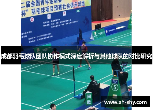 成都羽毛球队团队协作模式深度解析与其他球队的对比研究