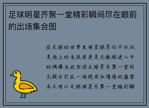 足球明星齐聚一堂精彩瞬间尽在眼前的出场集合图
