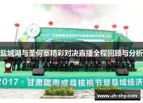 盐城湖与圣何塞精彩对决直播全程回顾与分析