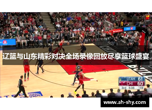 辽篮与山东精彩对决全场录像回放尽享篮球盛宴